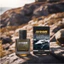 Nước hoa ô tô Areon Car Silver Perfume 50ml, 100ml -Nước hoa xe hơi hương nam tính, cao cấp chính hãng