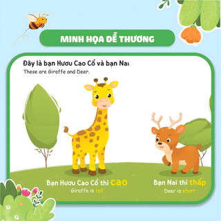 Sách - Combo 8 Cuốn Hỏi - Đáp Cùng Bé, Ehon Song Ngữ Việt - Anh - Dành Cho Bé Từ 0 -3 Tuổi