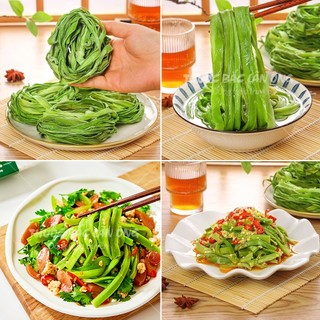 Rau tiến vua 50g, rau cần biển, trộn gỏi, nộm, siêu giòn, non xanh - Lãn Ông