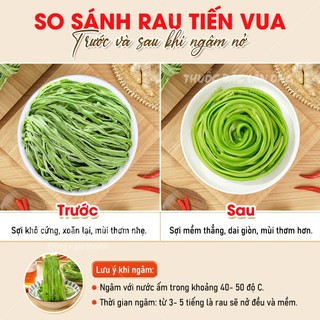 Rau tiến vua 50g, rau cần biển, trộn gỏi, nộm, siêu giòn, non xanh - Lãn Ông