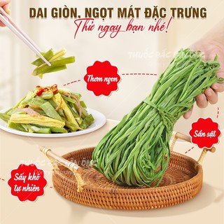 Rau tiến vua 50g, rau cần biển, trộn gỏi, nộm, siêu giòn, non xanh - Lãn Ông