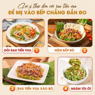 Rau tiến vua 50g, rau cần biển, trộn gỏi, nộm, siêu giòn, non xanh - Lãn Ông
