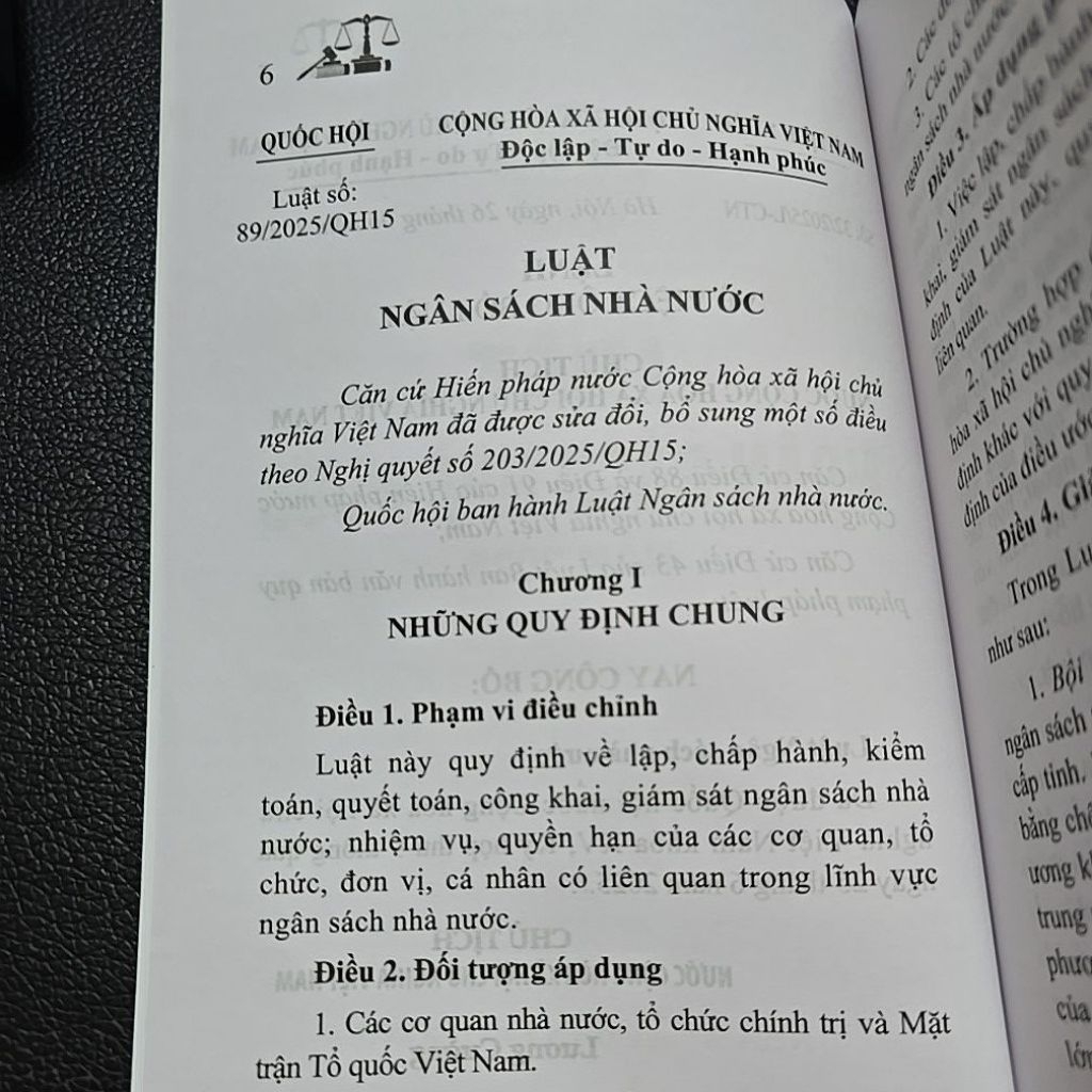 Sách - Luật ngân sách nhà nước năm 2025 (NXB Lao Động)
