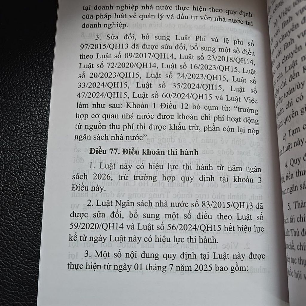 Sách - Luật ngân sách nhà nước năm 2025 (NXB Lao Động)