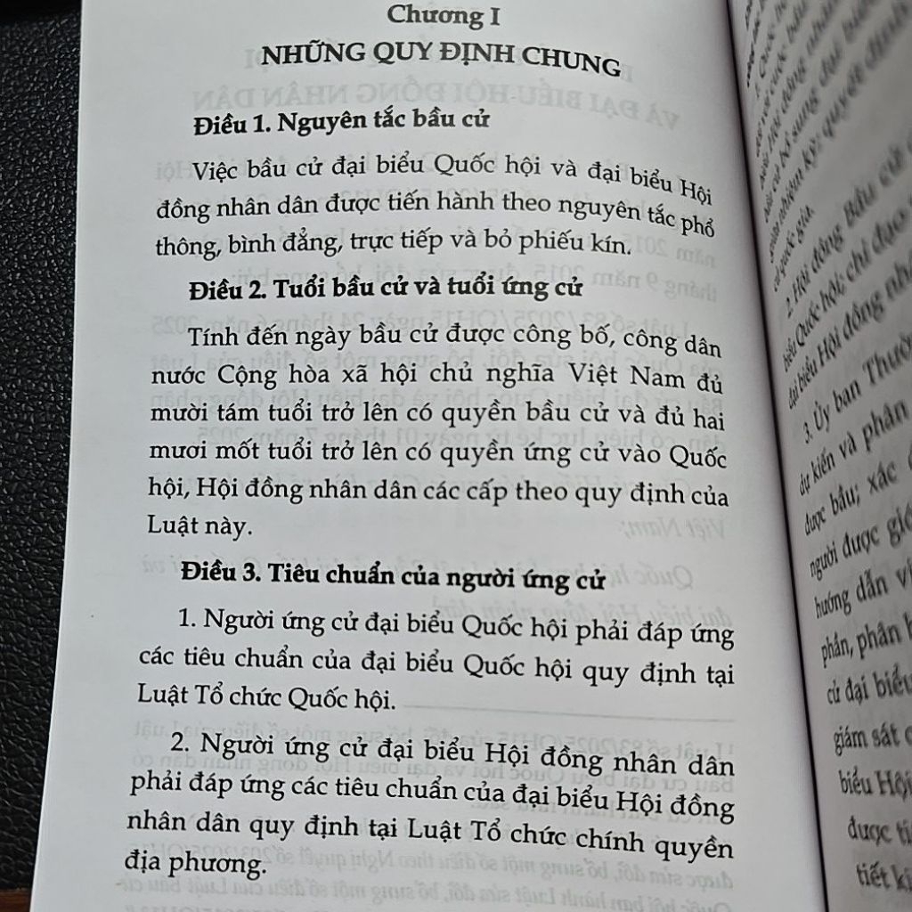 Sách - Luật bầu cử đại biểu quốc hội và đại biểu hội đồng nhân dân (NXB Lao động)