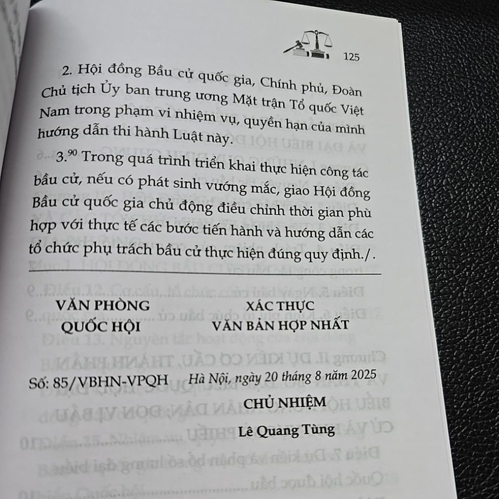 Sách - Luật bầu cử đại biểu quốc hội và đại biểu hội đồng nhân dân (NXB Lao động)