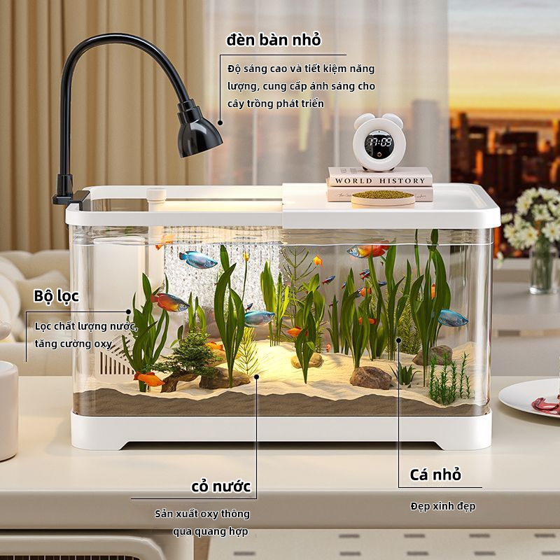 RELAAX Bể Cá Để Bàn Tự Động - Lọc Mạnh Êm, Chất Liệu Dày, Nước Trong 4K, Tăng Oxy Nhanh