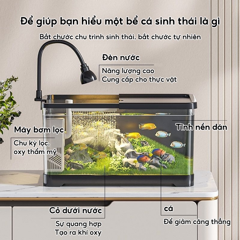 RELAAX Bể Cá Để Bàn Tự Động - Lọc Mạnh Êm, Chất Liệu Dày, Nước Trong 4K, Tăng Oxy Nhanh