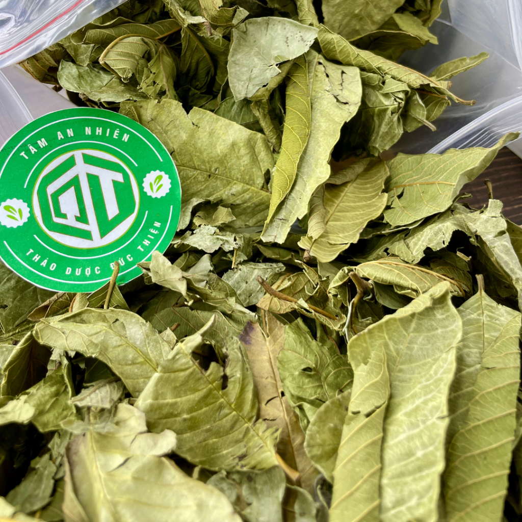 500g Lá Ổi Khô Loại 1 Đức Thiện - Lá Ổi Khô Giúp Giảm Cân, Ổn Định Đường Huyết, Ngừa Sâu Răng