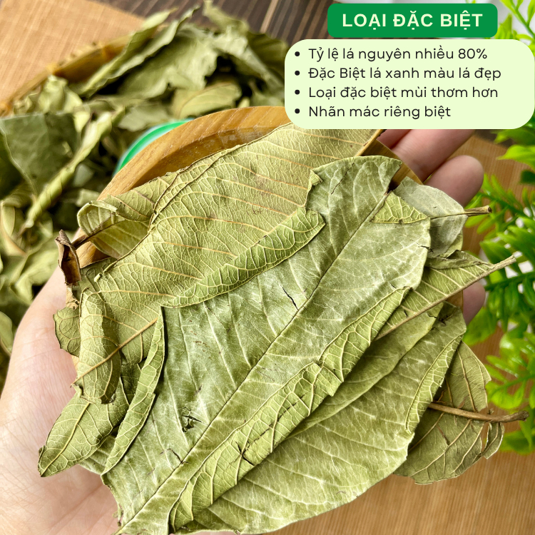 500g Lá Ổi Khô Loại 1 Đức Thiện - Lá Ổi Khô Giúp Giảm Cân, Ổn Định Đường Huyết, Ngừa Sâu Răng