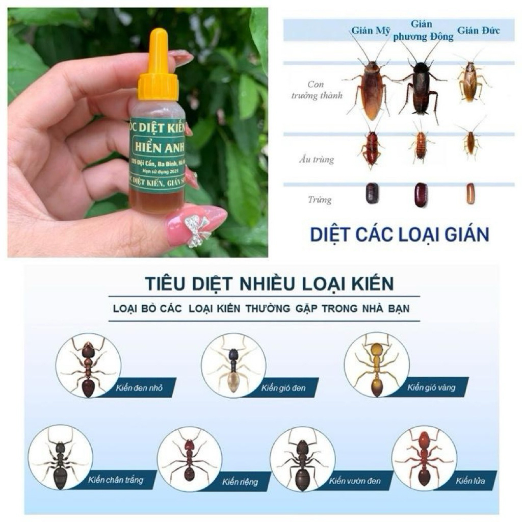 Combo 10 lọ nhỏ kiến gián sinh học hiển anh, giệt tận gốc kiến gián, an toàn cho người và vật nuôi