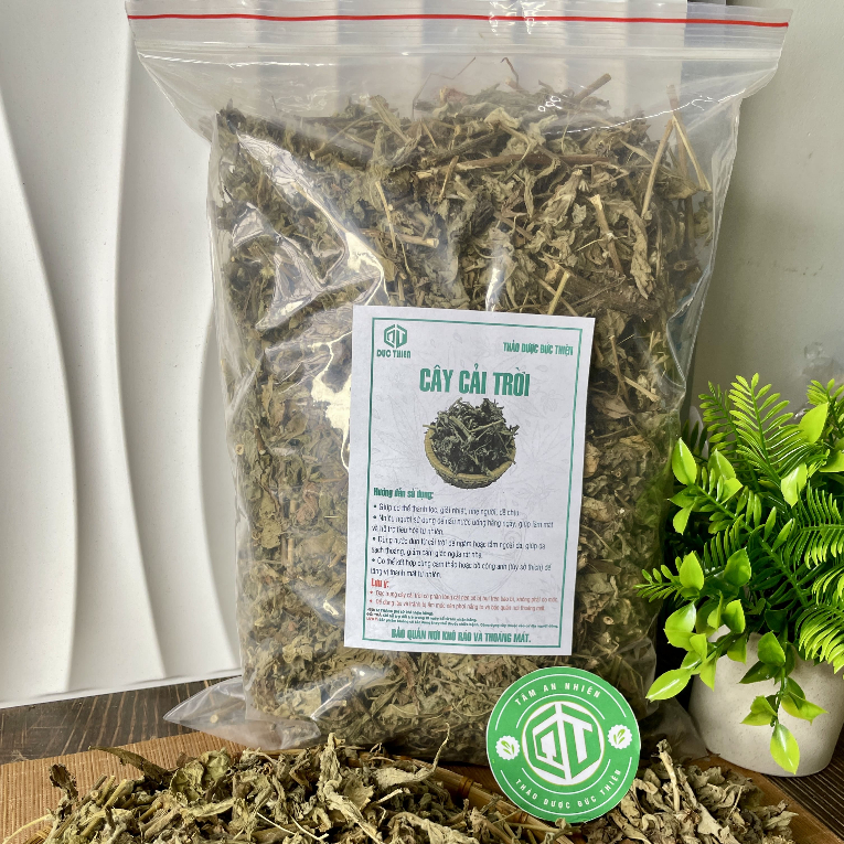 500g, 1kg Cây Cải Trời Loại 1 Đức Thiện (Khô, Sạch, Thơm) - Bướu Cổ, Lở Ngứa, Thuỷ Đậu, Vẩy Nến