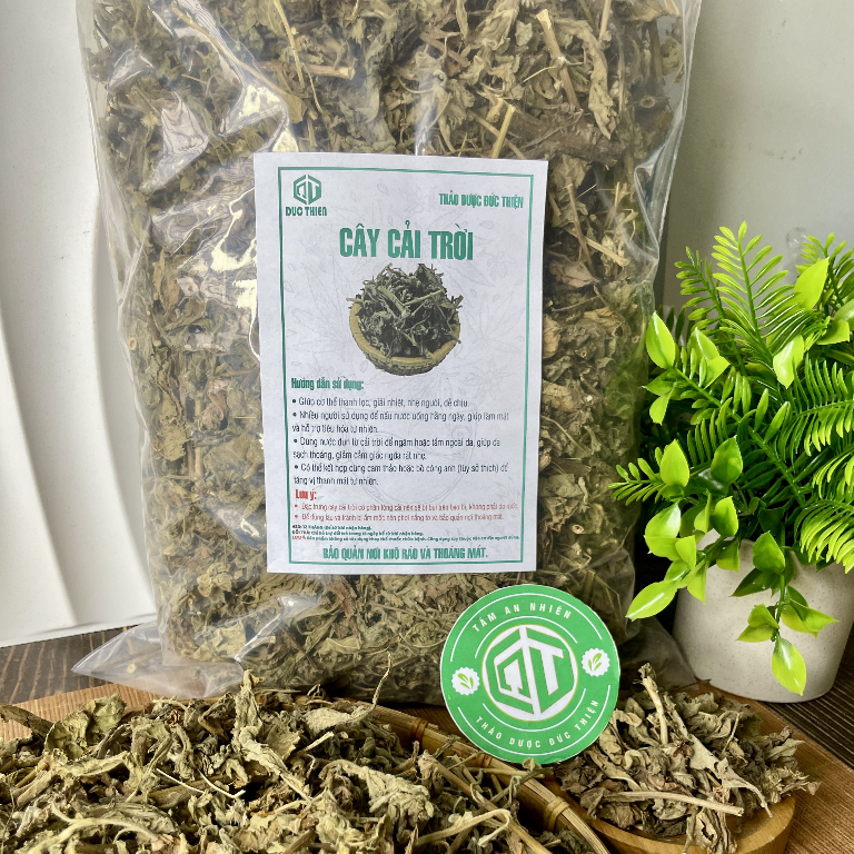 500g, 1kg Cây Cải Trời Loại 1 Đức Thiện (Khô, Sạch, Thơm) - Bướu Cổ, Lở Ngứa, Thuỷ Đậu, Vẩy Nến