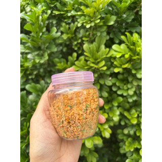 (Hủ 100gram) Muối chanh sả đặc sản Tây Ninh - chay mặn dùng được