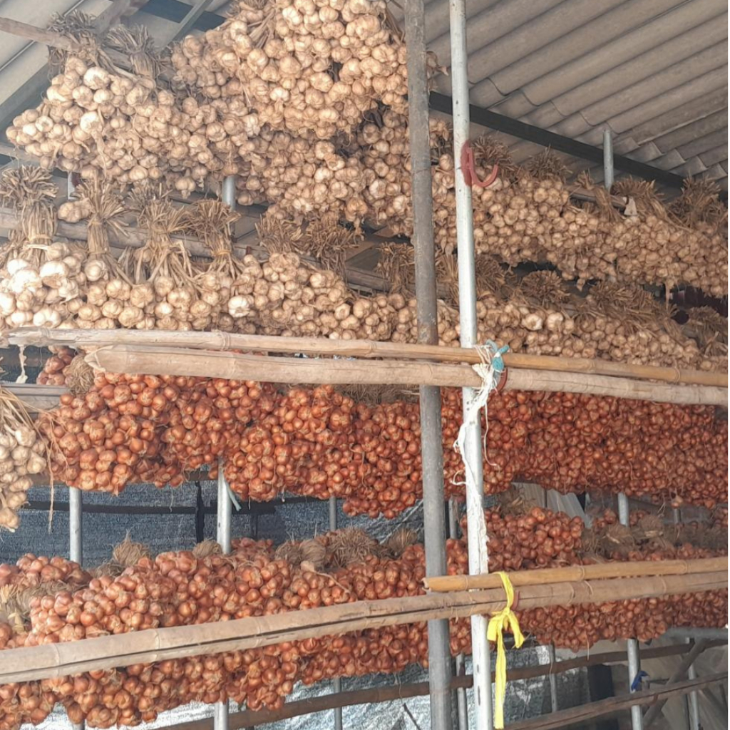 Combo 1kg tỏi Ta + 1kg Hành ta Kinh Môn Hải Dương chon lọc loại 1 .Cam kết hàng chuẩn.