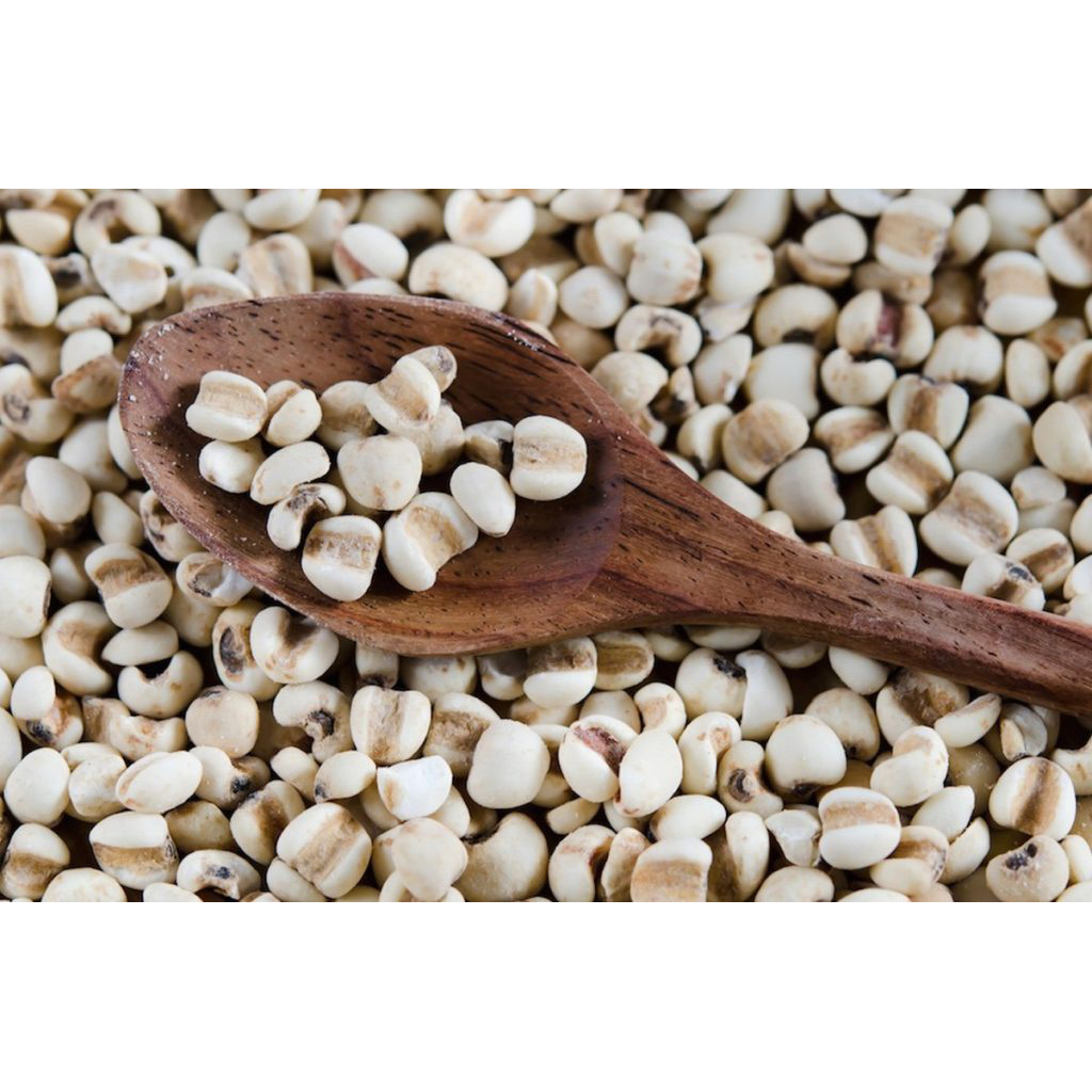500GR Hạt Ý Dĩ, Y Dĩ, Hạt Bo Bo, Hạt To Dùng Để Nấu Chè, Cháo, Xôi Hàng Loại 1 Ngon, Ngọt