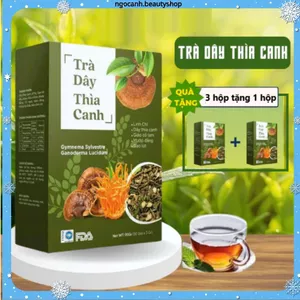 Trà Dây Thìa Canh, Dây Thìa Canh Tiểu Đường, Thanh Nhiệt, Giải Khát, Làm Mát Cơ Thể