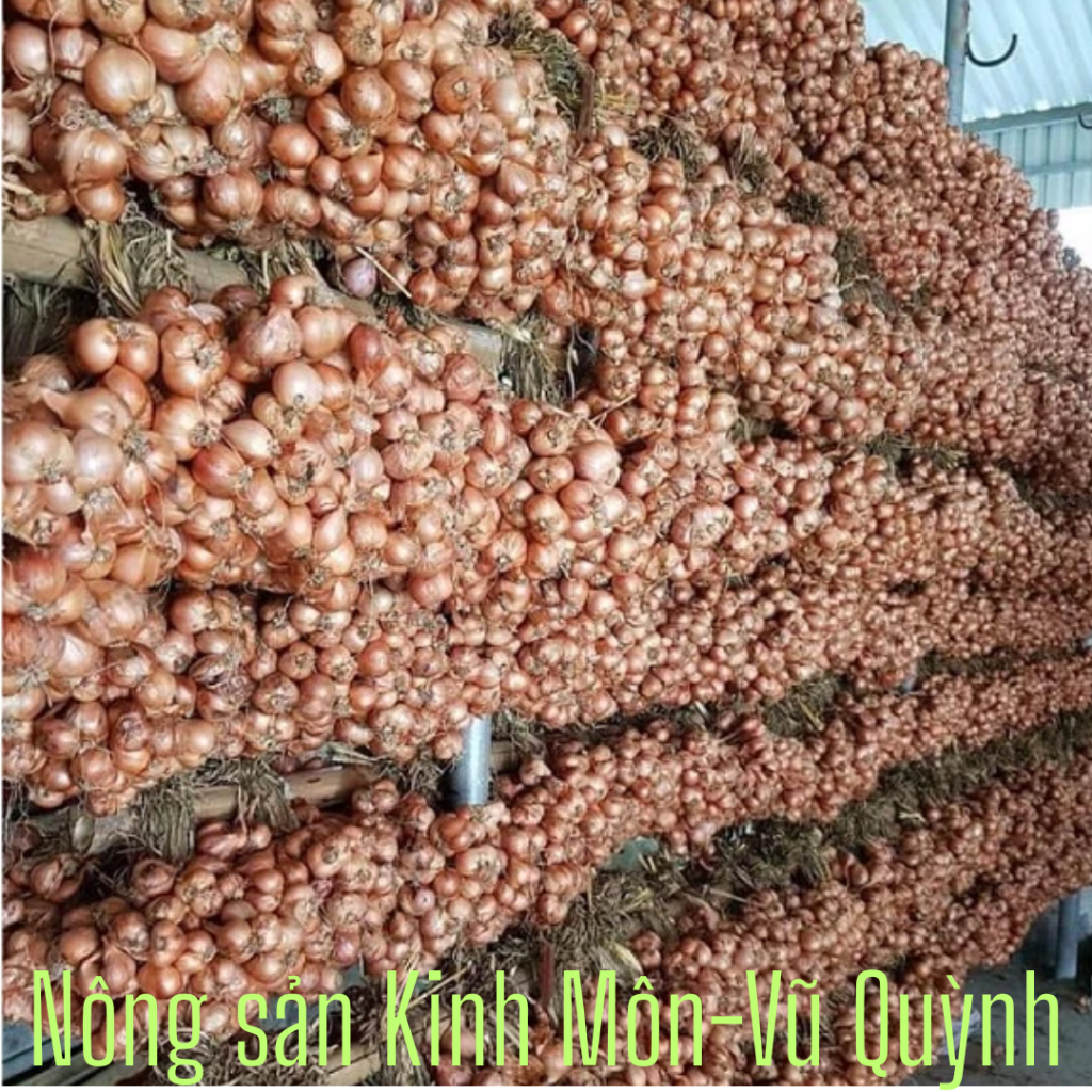 5 Kg Hành ta/ hành bắc khô Kinh Môn Hải Dương, hàng sạch nhà trồng - Loại 1