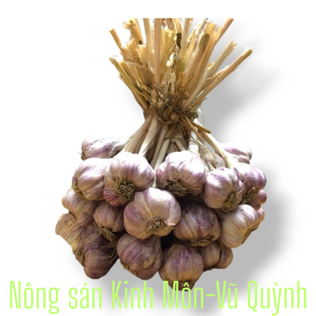 5 Kg tỏi ta khô chọn lọc loại 1 Kinh Môn Hải Dương.