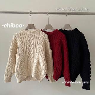 Áo Len Thừng Basic Hàn Quốc Dày Dặn Ấm Áp Trẻ Trung Trendy (Ảnh thật )| Dami.Studio