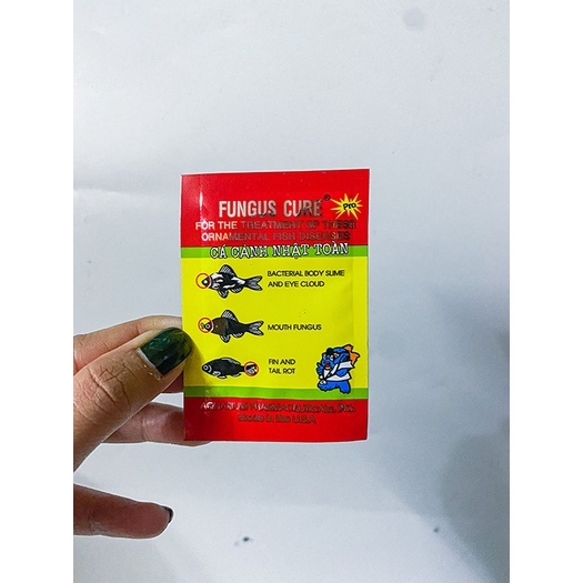 Fungus Cure Gói 5gram sản phẩm giúp diệt khuẩn, chữa đục mắt, thối vây, đuôi cho cá cảnh