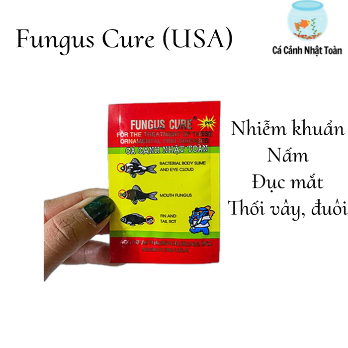 Fungus Cure Gói 5gram sản phẩm giúp diệt khuẩn, chữa đục mắt, thối vây, đuôi cho cá cảnh