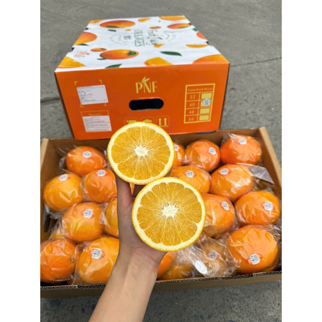 [ Chỉ Giao HCM ] Cam Kiếng NDT - Đài cuống tươi xanh, mọng nước, ngọt thơm 1KG