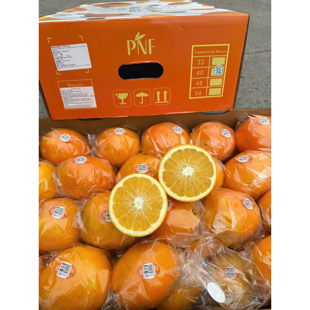 [ Chỉ Giao HCM ] Cam Kiếng NDT - Đài cuống tươi xanh, mọng nước, ngọt thơm 1KG