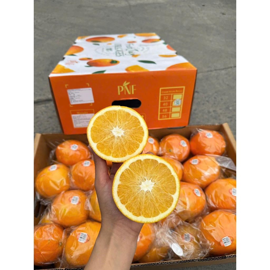 [ Chỉ Giao HCM ] Cam Kiếng NDT - Đài cuống tươi xanh, mọng nước, ngọt thơm 1KG