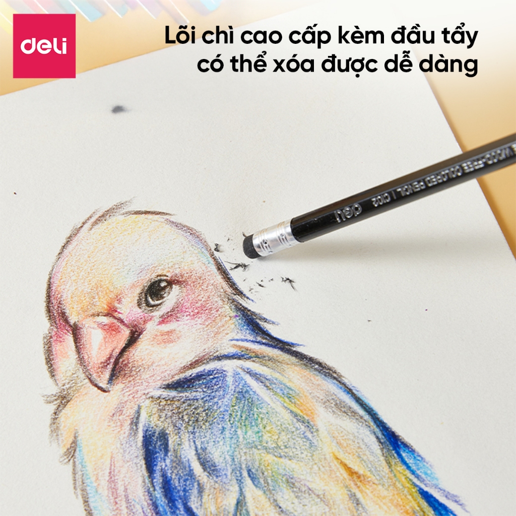 Bút Chì Màu Xóa Được 12/18/24/36 Màu Deli Màu Sắc Tươi Sáng Sống Động Chất Liệu Cao Cấp An Toàn Cho Bé Thỏa Sức Sáng Tạo