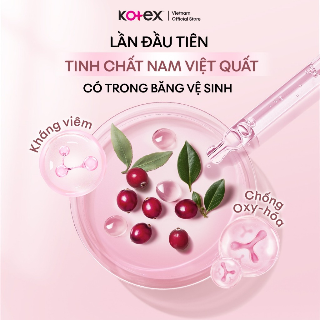 [KOL LIVE] Combo 8 băng vệ sinh Kotex Cranberry Nam Việt Quất Kháng Viêm, Chống Oxy Hóa, Siêu Mỏng Cánh 24cm 8 miếng/gói