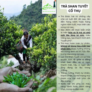 Trà shan tuyết cổ thụ Lục trà 1 tôm 1 lá cao cấp, lục trà 1 tôm 1 lá hộp 200gr