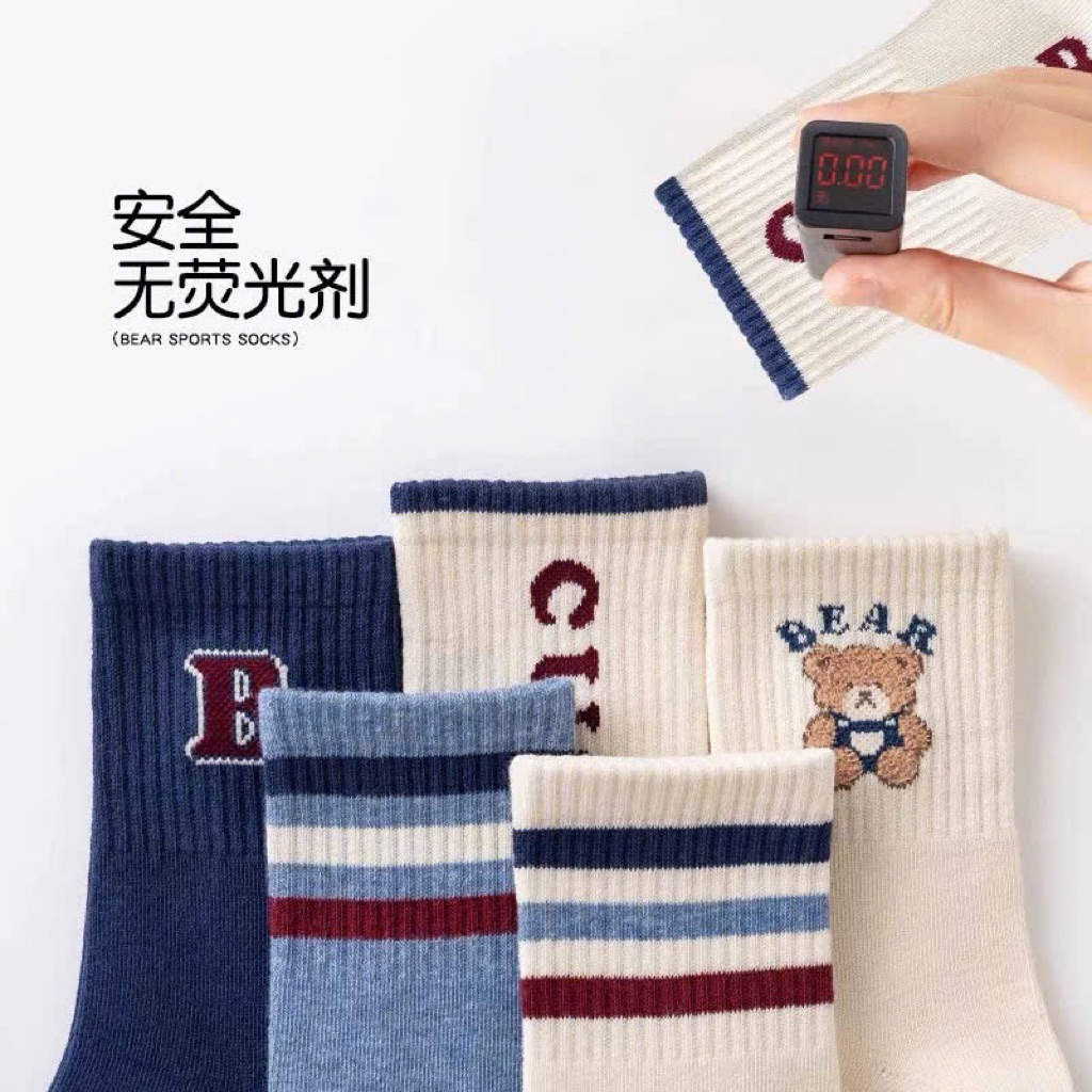Combo 5 đôi tất gấu xanh cổ cao cute bear mẫu mới