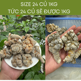 Củ tam thất bắc khô gói 1kg bổi bổ cơ thể, bảo vệ sức khỏe, củ to khô già đanh hàng loại 1
