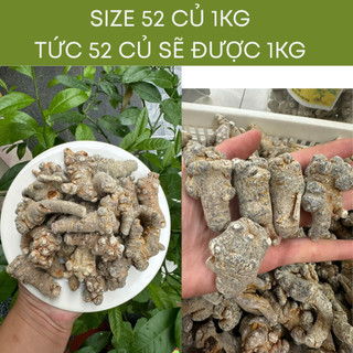 Củ tam thất bắc khô gói 1kg bổi bổ cơ thể, bảo vệ sức khỏe, củ to khô già đanh hàng loại 1