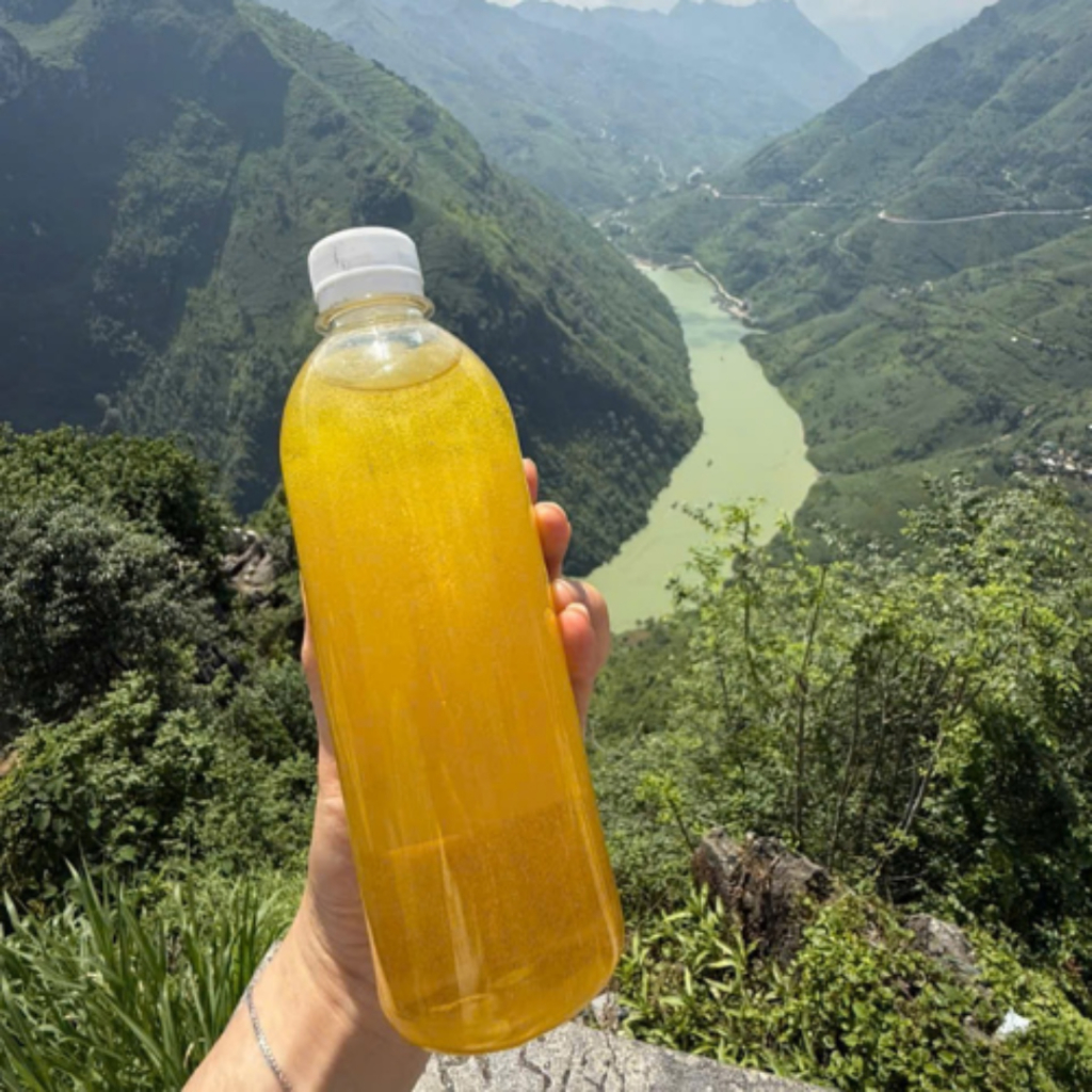 Mật ong bạc hà nguyên chất Hà Giang A Giàng, mật ong hoa bạc hà nguyên chất khai thác tự nhiên đặc sản cao nguyên đá