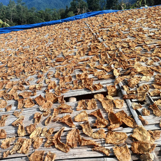 Măng Nứa Khô Hà Giang . Non, Giòn, Phơi Nắng Tự Nhiên măng non không cần cắt bỏ sử dụng được hết