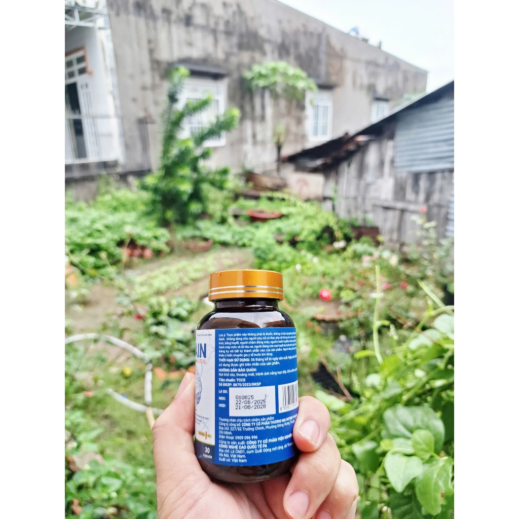 Hoạt Huyết Dưỡng Não Brain, Chỉ 1 Viên Mỗi Ngày Giúp Phòng Ngừa Đọt Quỵ, Tăng Cường Lưu Thông Máu Não, Cải Thiện Mất Ngủ