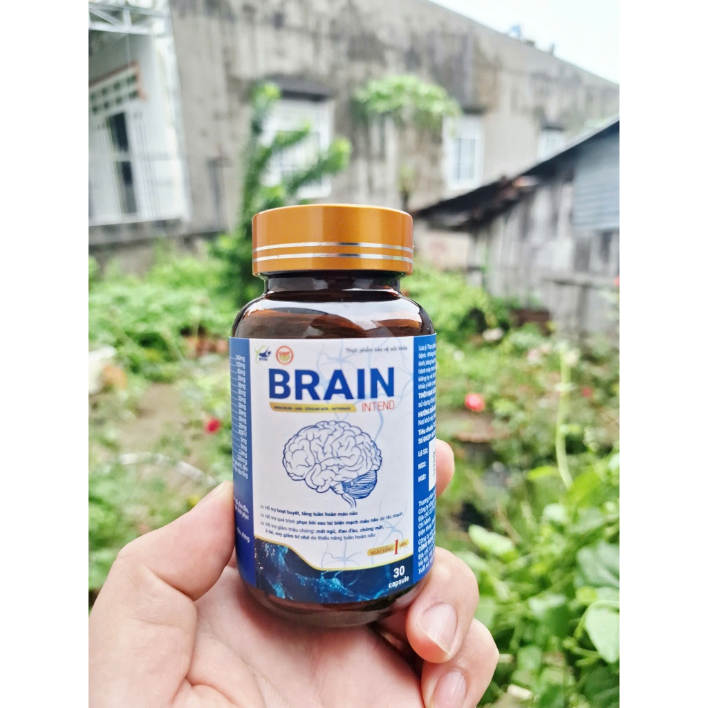 Hoạt Huyết Dưỡng Não Brain, Chỉ 1 Viên Mỗi Ngày Giúp Phòng Ngừa Đọt Quỵ, Tăng Cường Lưu Thông Máu Não, Cải Thiện Mất Ngủ