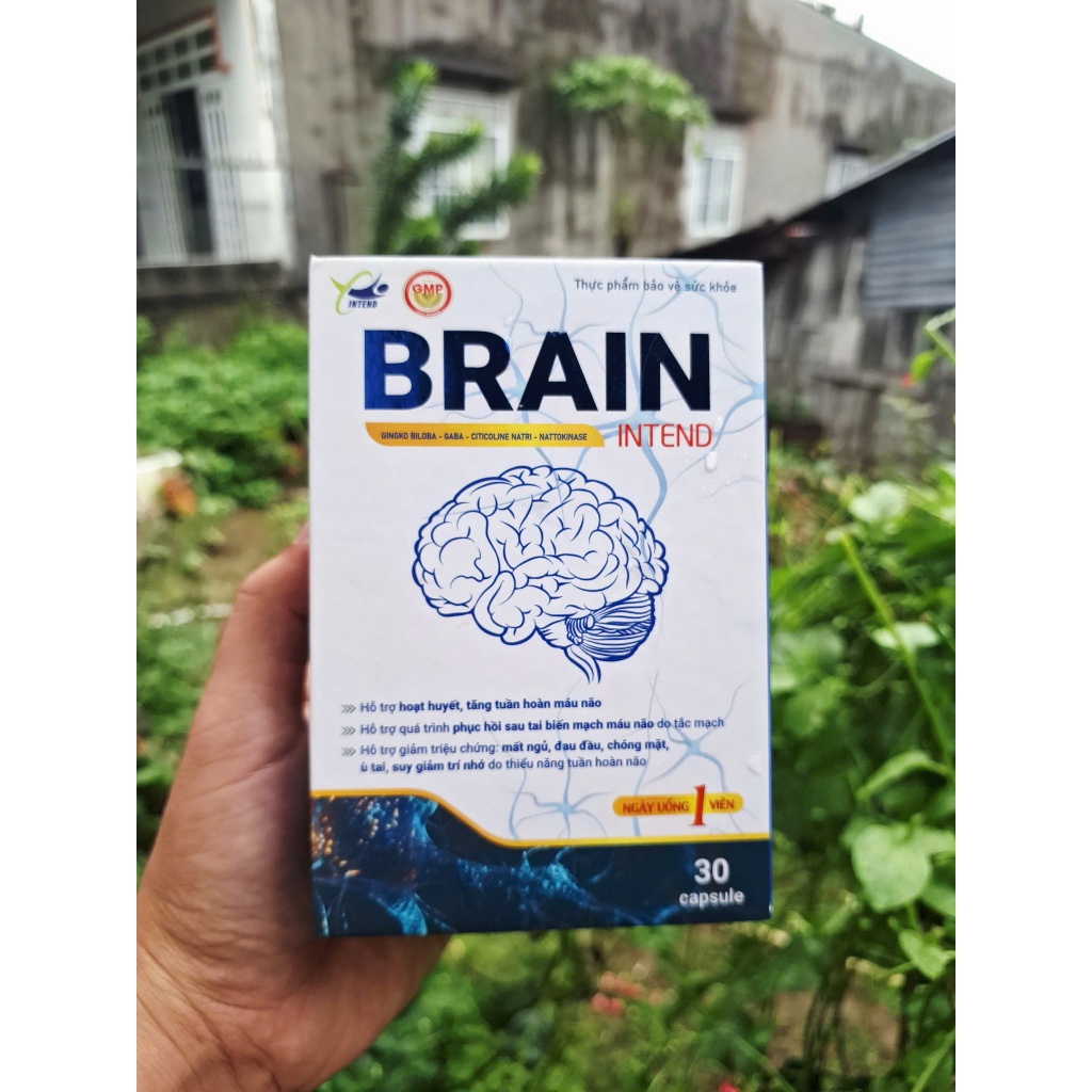 Hoạt Huyết Dưỡng Não Brain, Chỉ 1 Viên Mỗi Ngày Giúp Phòng Ngừa Đọt Quỵ, Tăng Cường Lưu Thông Máu Não, Cải Thiện Mất Ngủ