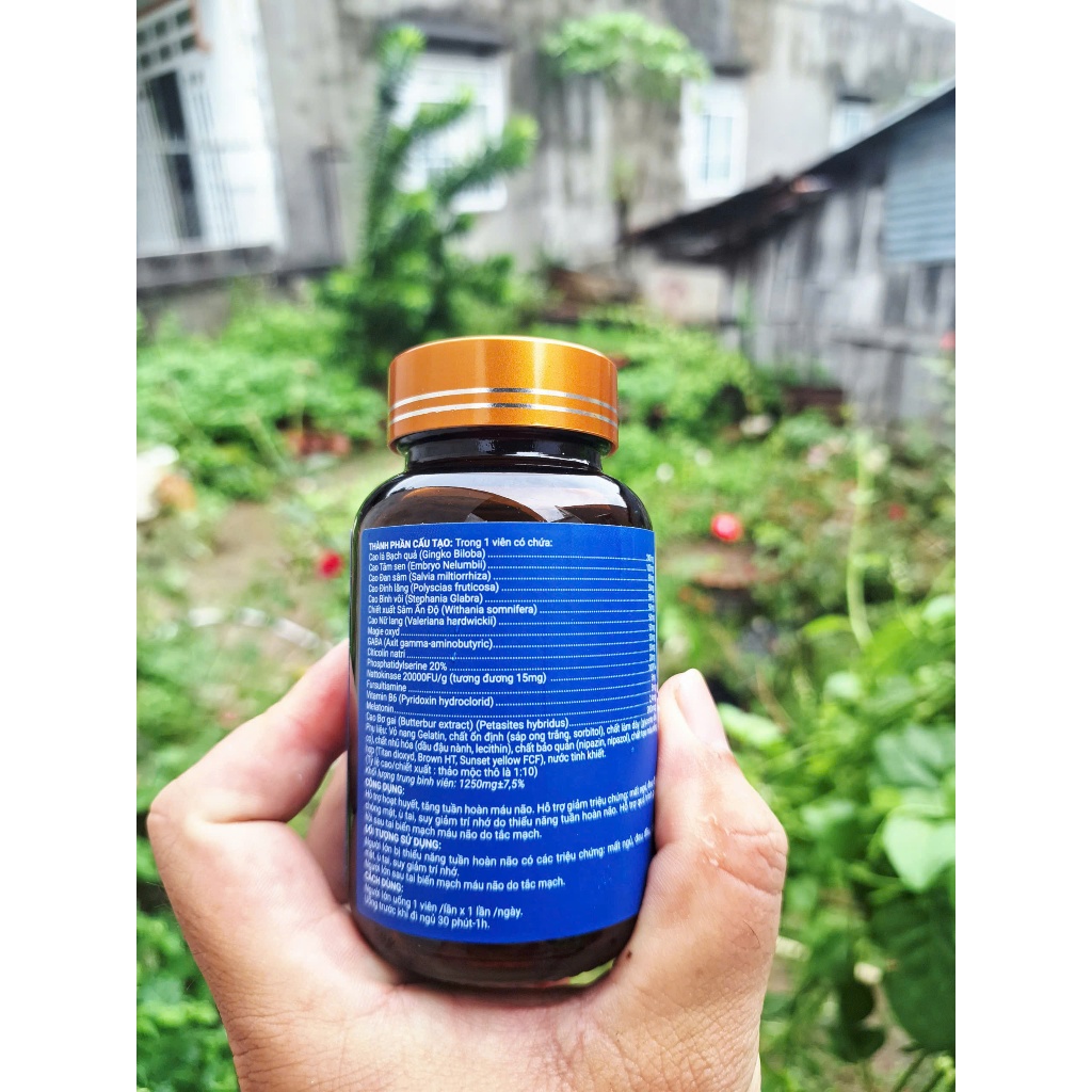 Hoạt Huyết Dưỡng Não Brain, Chỉ 1 Viên Mỗi Ngày Giúp Phòng Ngừa Đọt Quỵ, Tăng Cường Lưu Thông Máu Não, Cải Thiện Mất Ngủ