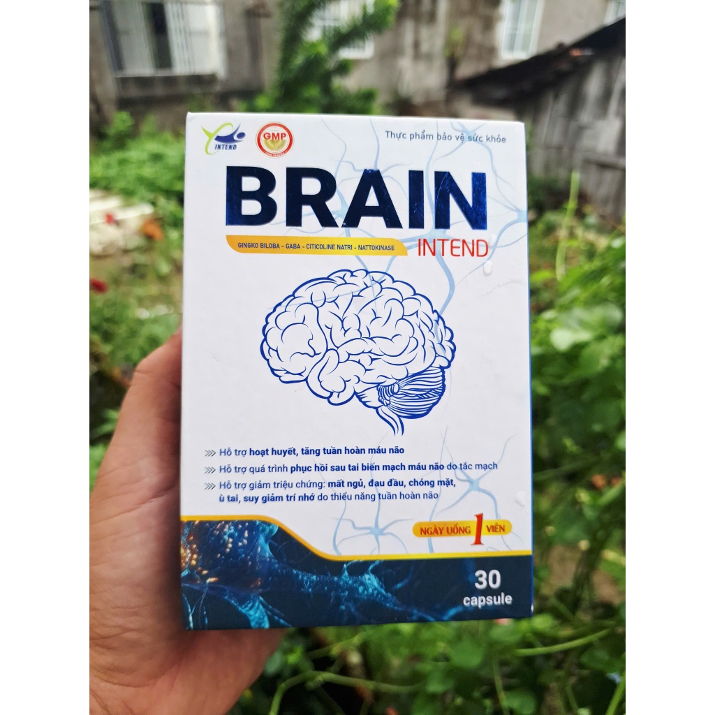 Hoạt Huyết Dưỡng Não Brain, Chỉ 1 Viên Mỗi Ngày Giúp Phòng Ngừa Đọt Quỵ, Tăng Cường Lưu Thông Máu Não, Cải Thiện Mất Ngủ