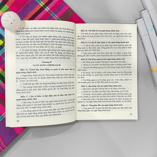 Sách - Luật Các Tổ Chức Tín Dụng Năm 2024 (sửa đổi, bổ sung năm 2024,2025) - ndbooks