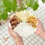 Trà khử ẩm, trà thảo mộc tiêu ẩm, set mix sẵn 4 vị: Hoàng kỳ, bạch linh, sơn tra, trần bì