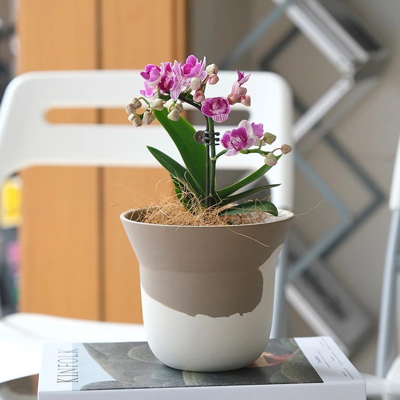 Chậu gốm dáng cốc béo phong cách Bắc Âu