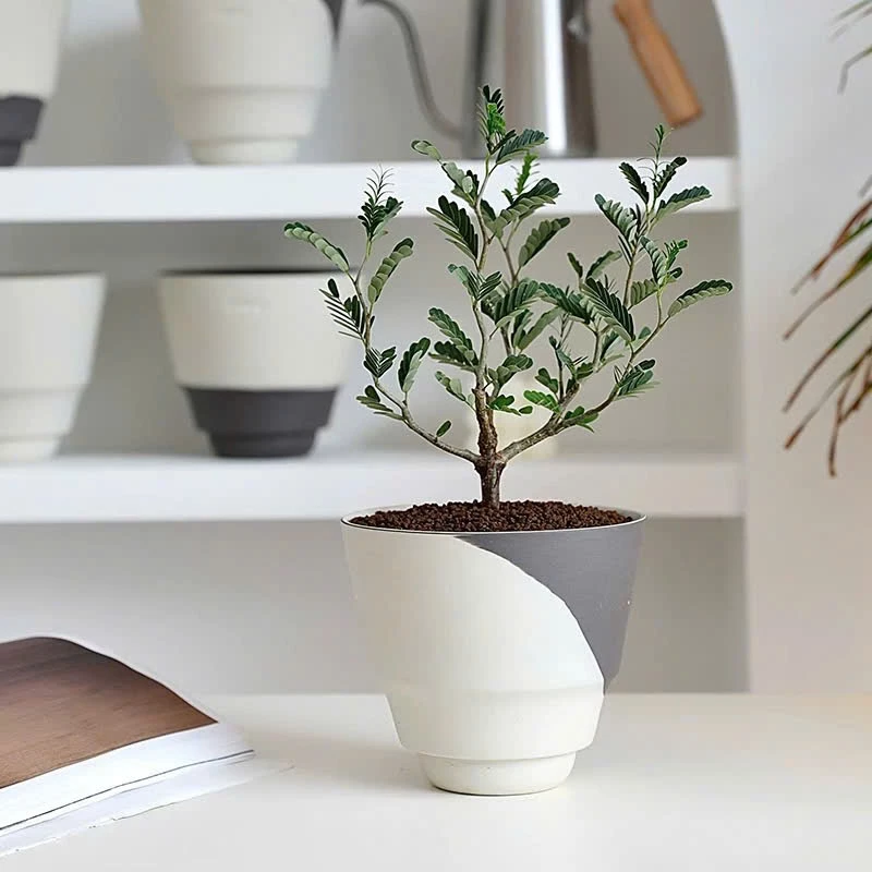 Chậu gốm nhỏ xinh phối màu trắng đen