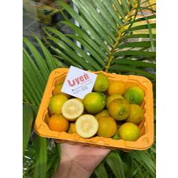 🍊  KIM QUỐC NGỌT ĐÀI LOAN – TRÁI TO, VỎ MỎNG, CỰC NGỌT! 🍊