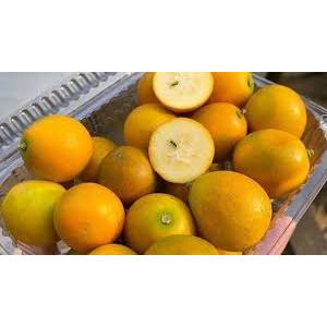 🍊  KIM QUỐC NGỌT ĐÀI LOAN – TRÁI TO, VỎ MỎNG, CỰC NGỌT! 🍊