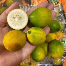 🍊  KIM QUỐC NGỌT ĐÀI LOAN – TRÁI TO, VỎ MỎNG, CỰC NGỌT! 🍊