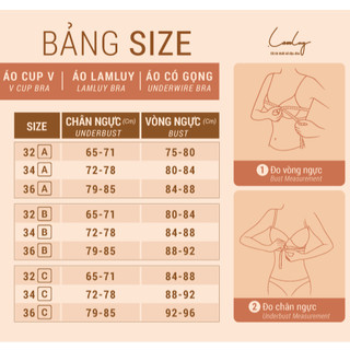 [ĐỒNG GIÁ 200] Áo Ngực Ren Thun Cup B & C Dáng V Gợi Cảm LAM LUY